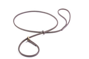 Black dog leash on white background