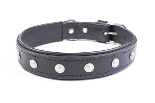 Leather dog collar
