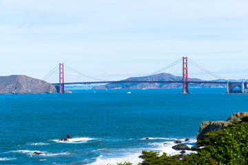 The view of golden gate bridge in Lands end at San Francisco- San Francisco. summer , cloud , rock , sea, plant.