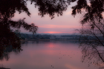 Pink in Lake