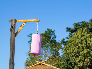 Fototapeta na wymiar Pink paper lantern hanging from a wooden tree.