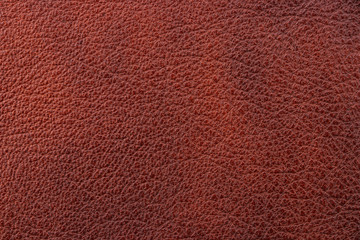 Fototapeta premium Brown leather texture sample. Material of animal origin. Close-up.