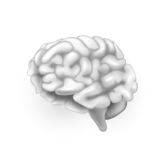 Human Brain. Illustration isolated on white background. Graphic concept for your design