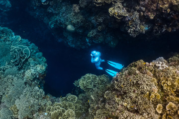 Naklejka na ściany i meble Free diver explores an underwater crevice
