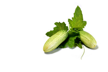  Fresh cucumber