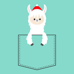 Alpaca llama sitting in the pocket. Santa hat. Face and hands. Cute cartoon character. Hello winter. Merry Christmas. Happy New Year. Blue background. Flat design.