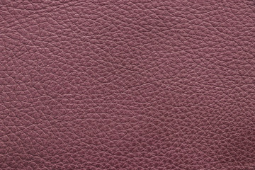 Brown leather texture sample. Material of animal origin. Close-up.