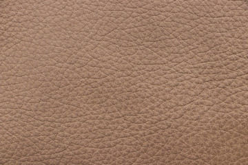 Brown leather texture sample. Material of animal origin. Close-up.