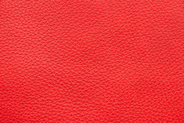 Sample genuine leather red colour. Material of animal origin. Close-up.