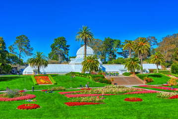 Obraz premium San Francisco Botanical Garden.