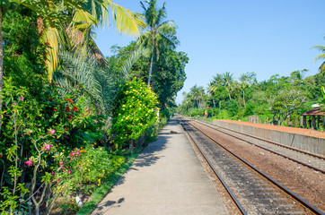 Fototapeta na wymiar landscape the railway road in Sri Lanka