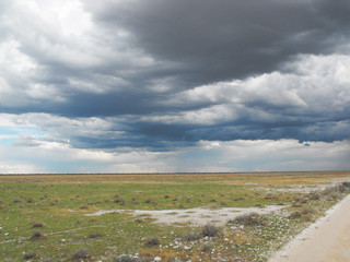 Etosha National Park, Namibia