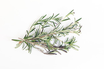 Obraz premium Rosemary Herb green fragrant branch on white background