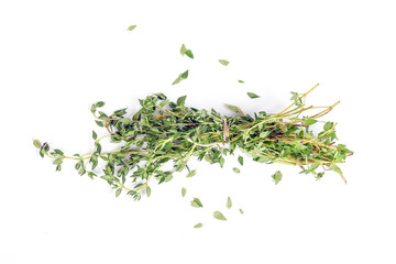 Thyme leaf Herb green fragrant branch on white background