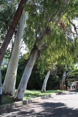 Abhazia/Gagra