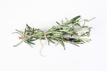 Rosemary Herb green fragrant branch on white background