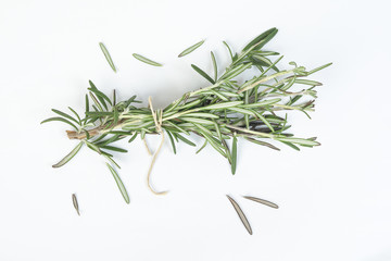 Rosemary Herb green fragrant branch on white background