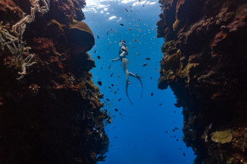 Lady freediver in sexy swimsuit ascends from a deep dive