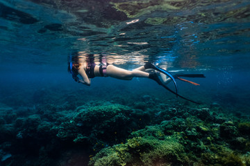 Group of female free divers exploring a shallow coral reef