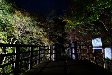 汐見滝吊り橋　