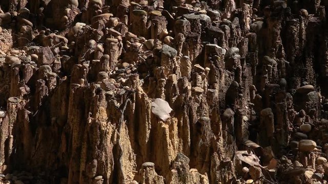 Cliff of Pha Chor Canyon in Northern Thailand
