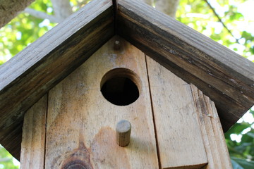 nichoir à oiseaux