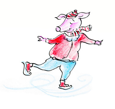 Pig skates cartoon