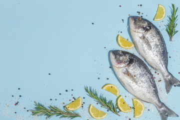 Raw dorada fish with spices, salt, lemon and herbs, rosemary on a ligth-blue background. Top view.