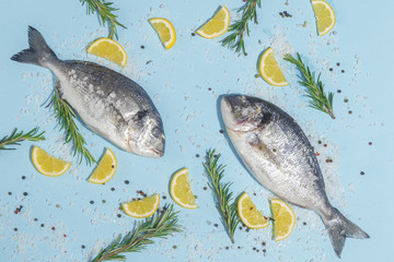 Raw dorada fish with spices, salt, lemon and herbs, rosemary on a ligth-blue background. Top view.