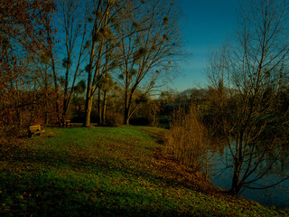 Bords d'un lac en automne