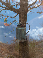 un vecchio annaffiatore per viti dell'uva appeso ad un albero - 240564067