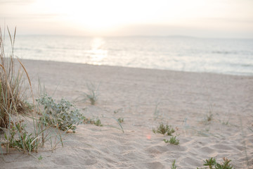 Background of a secluded sandy beach in pastel shades.