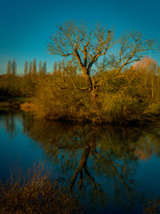 Bords d'un lac en automne