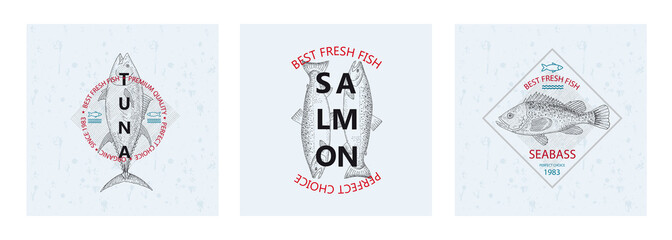 Best fresh fish Tuna, Salmon, Seabass. Vector illustration