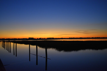 Marsh Life at Dawn