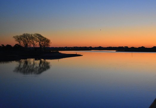 Marsh Life at Dawn © Lee
