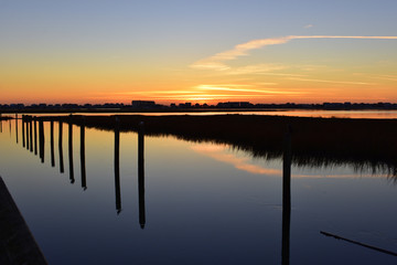 Fototapeta na wymiar Marsh Life Dawn