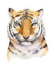Watercolor tropical tiger animal isolated illustration, wild cat axotic animals. plant monstera, lianas jungle artwork. Fasion print design.