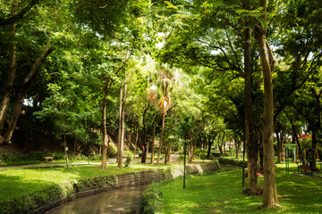 Water canal in the park