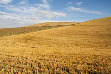Harvested fields over rolling hills with clouds and blue sky