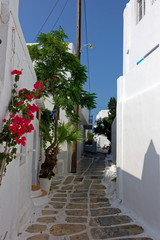 Ruelle à Naousa, Paros, Cyclades, Grèce