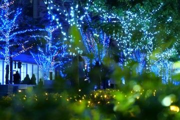 イルミネーションブルー