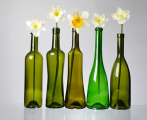 Empty wine bottles with flowers inserted in the neck. Recycling.No alcohol!