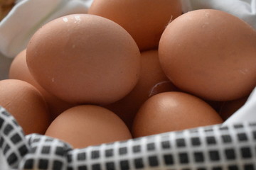 Huevos de granja ecológicos 