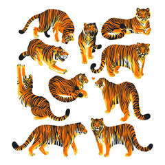 Fototapeta na wymiar Graphic collection of tigers in different poses.