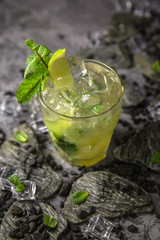 Alcoholic or non-alcoholic cocktail with lemon, lime and cucumber with the addition of liquor, vodka, champagne or martini. Cool drink.