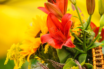 Obraz premium Colorful field flowers in pot