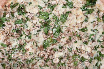 Close-up full frame shot of delicious mushroom pizza