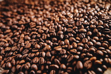 Coffee grains background