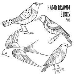 Vector set of hand drawn birds